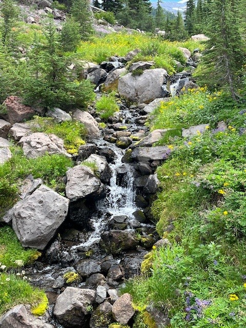 Obsidian Trail